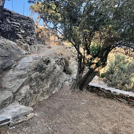 Vila Avdos' olive house Agios Romanos Exteriér fotografie