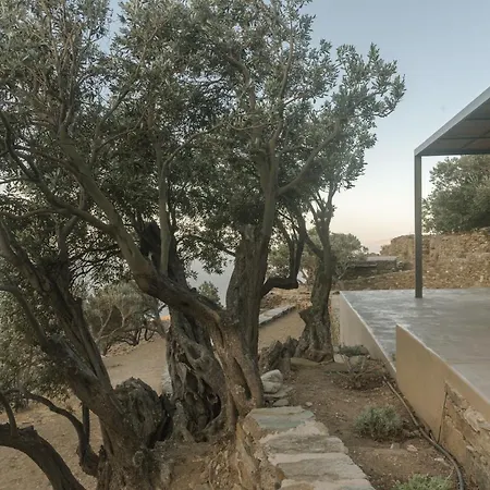 Vila Avdos' olive house Agios Romanos Exteriér fotografie