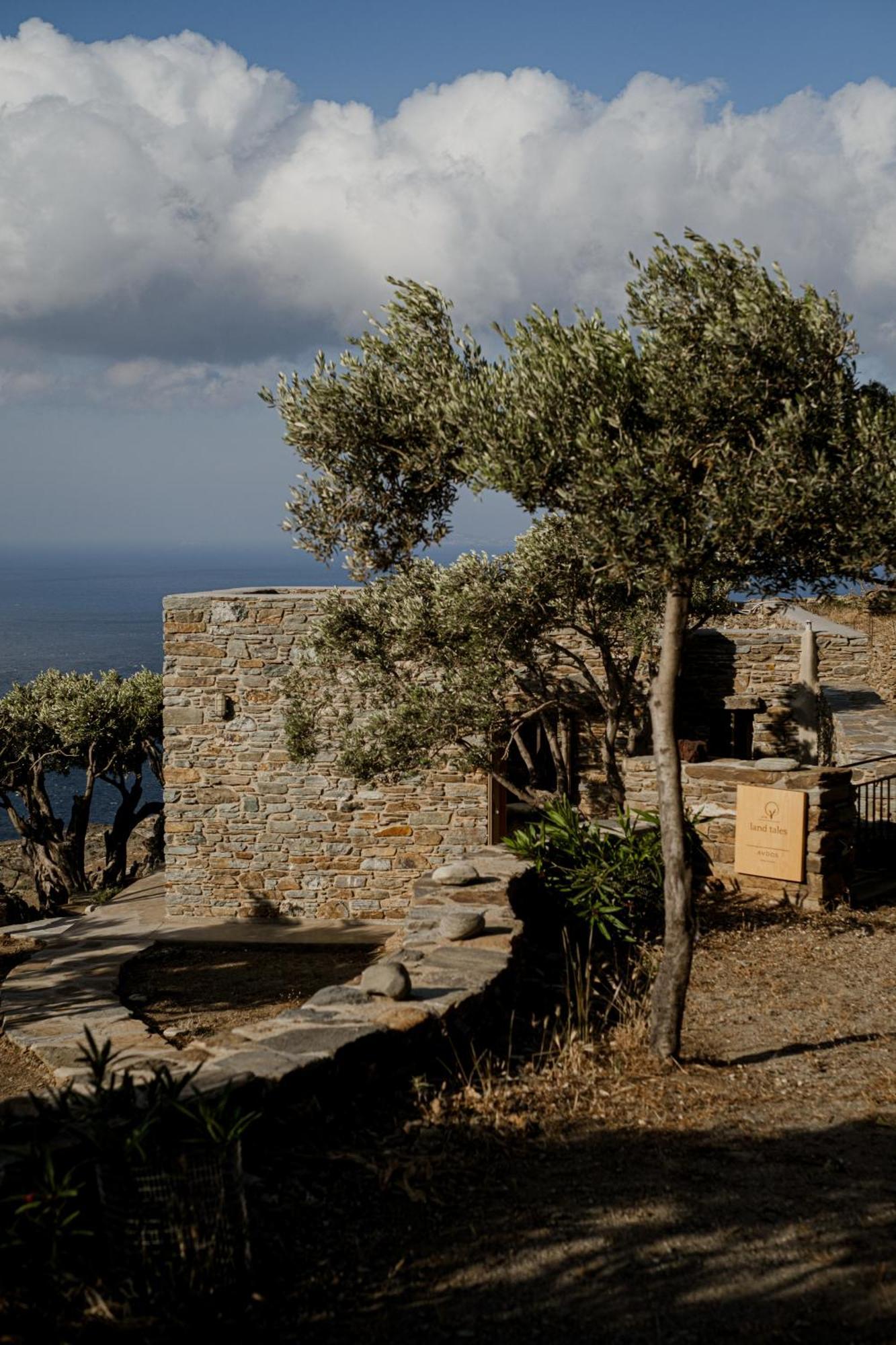 Avdos' Olive House Prázdninový dům Agios Romanos